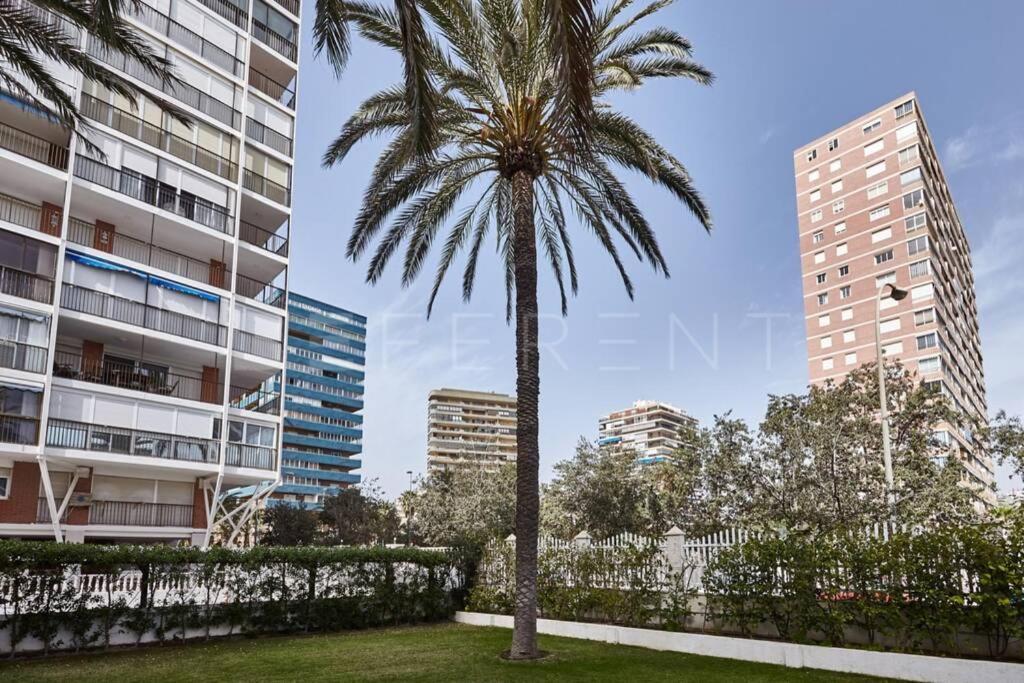 Apartmán Beferent Arizona 2 Playa San Juan Alicante Exteriér fotografie